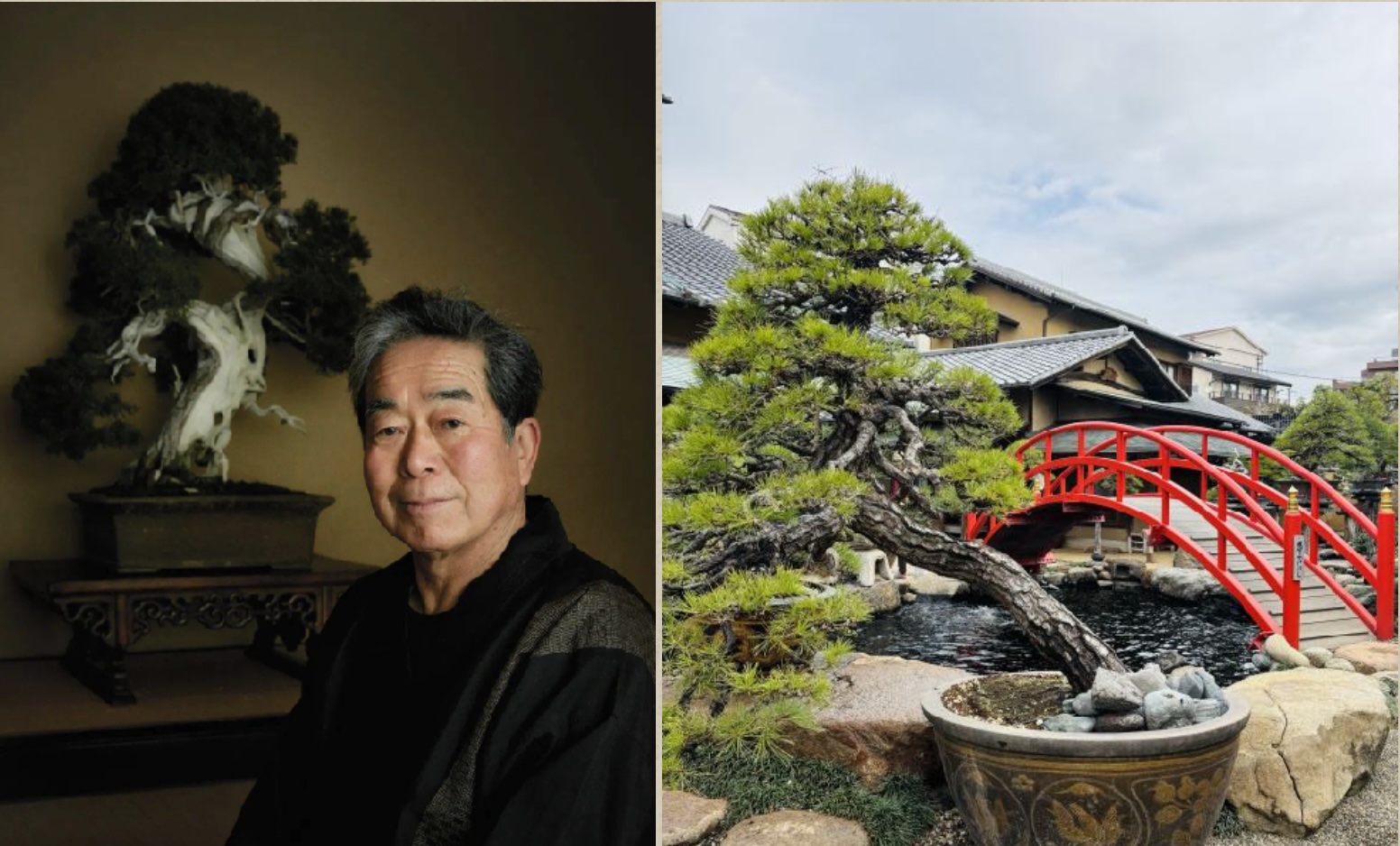 拜访日本盆栽鬼才小林国雄 · 盆栽体验